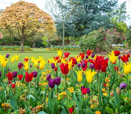 Cannon Hill Park: Birmingham’s Natural Oasis