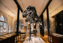 Дивовижний світ зоології в музеї Лепворта