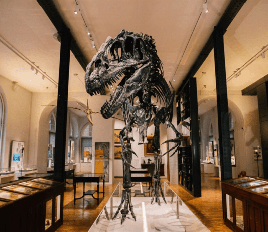 Amazing world of zoology at the Lapworth Museum