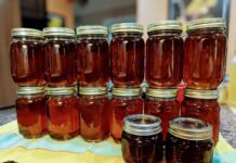 A 140-Year Legacy of Work: The History of the Birmingham Beekeeping Association