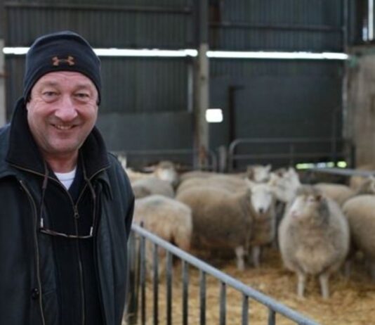 Keith Henry Stockman Campbell — The Birmingham Native Who First Cloned a Sheep