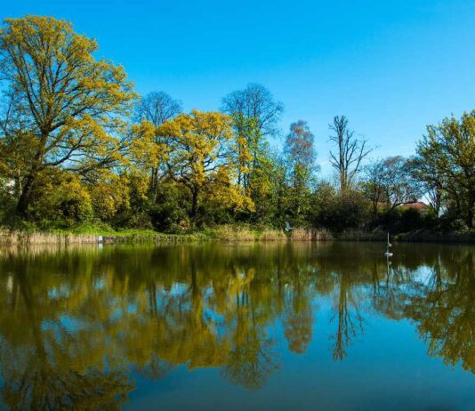 Fox Hollies Park: A Stream, a Former Watermill, and a Burnt Mound