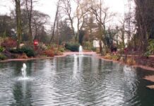Історія Kings Heath Park — від королівської пустки до телевізійного саду
