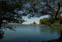 The Edgbaston Reservoir — водосховище, яке стало раєм для бігунів та веслувальників