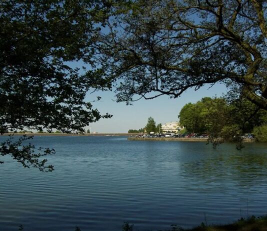 The Edgbaston Reservoir: A Haven for Runners and Rowers