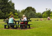 Найпопулярніші дерева Бірмінгема — осика тремтяча та ясен європейський