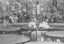 Як географічні відкриття і завоювання Британії XVIII — ХІХ століть посприяли розвитку садівництва