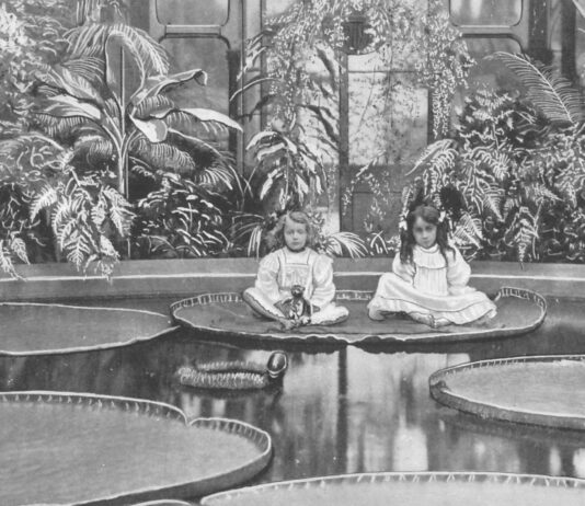 How British Geographical Discoveries and Conquests in the 18th-19th Centuries Fueled the Growth of Horticulture