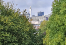 Озеленение Бирмингема — из города “1000 профессий” в город “1000 зеленых насаждений”