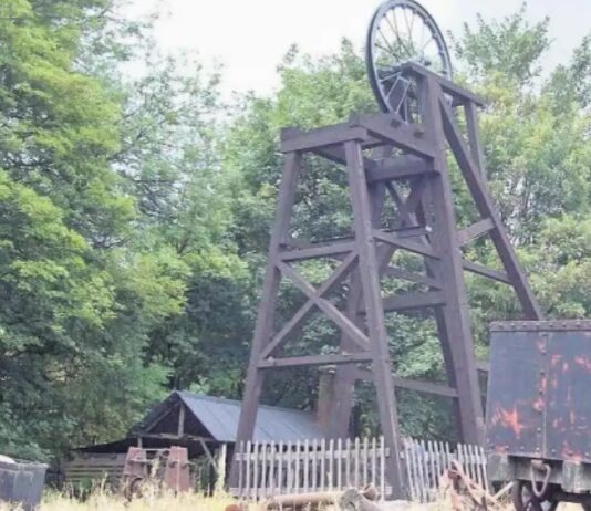 Useful fossilised Birmingham — where the industrial revolution began