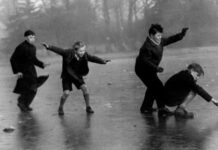 Charity, greening and rare animals in the heart of Birmingham