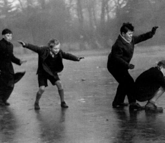 Про благодійність, озеленення і рідкісних тварин у серці Бірмінгема