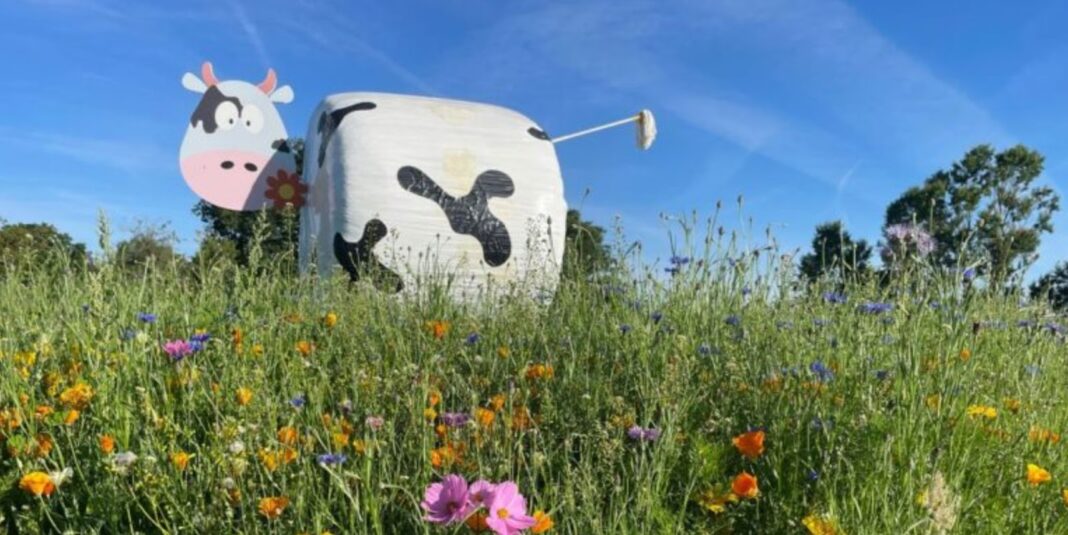 Becketts Farm — a family farm 25 minutes from Birmingham ...