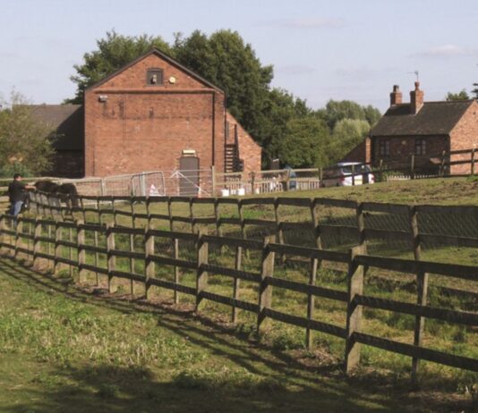 Сучасне сільське господарство в колишній «світовій майстерні»