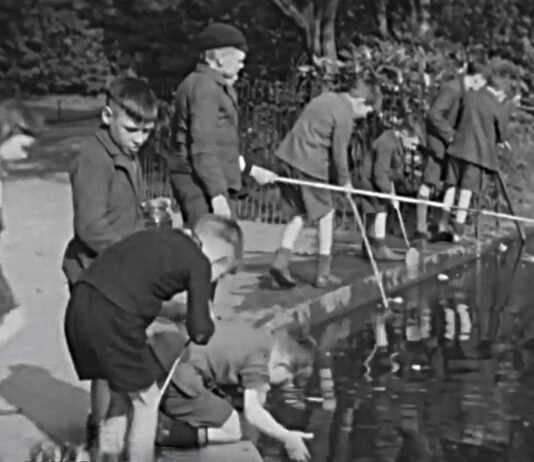 Fishing in Birmingham: from ancient traditions to modern sport
