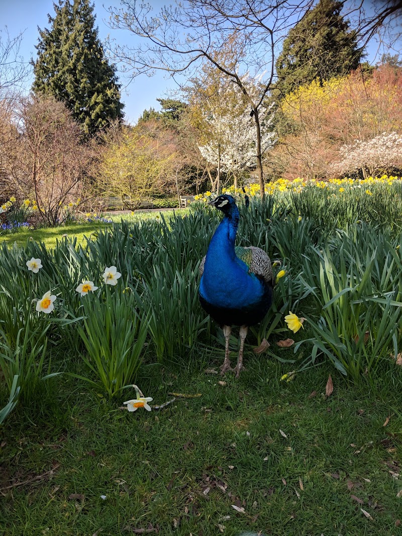 Birmingham Botanical Gardens