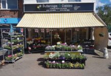 Buttercups & Daisies Florist Birmingham
