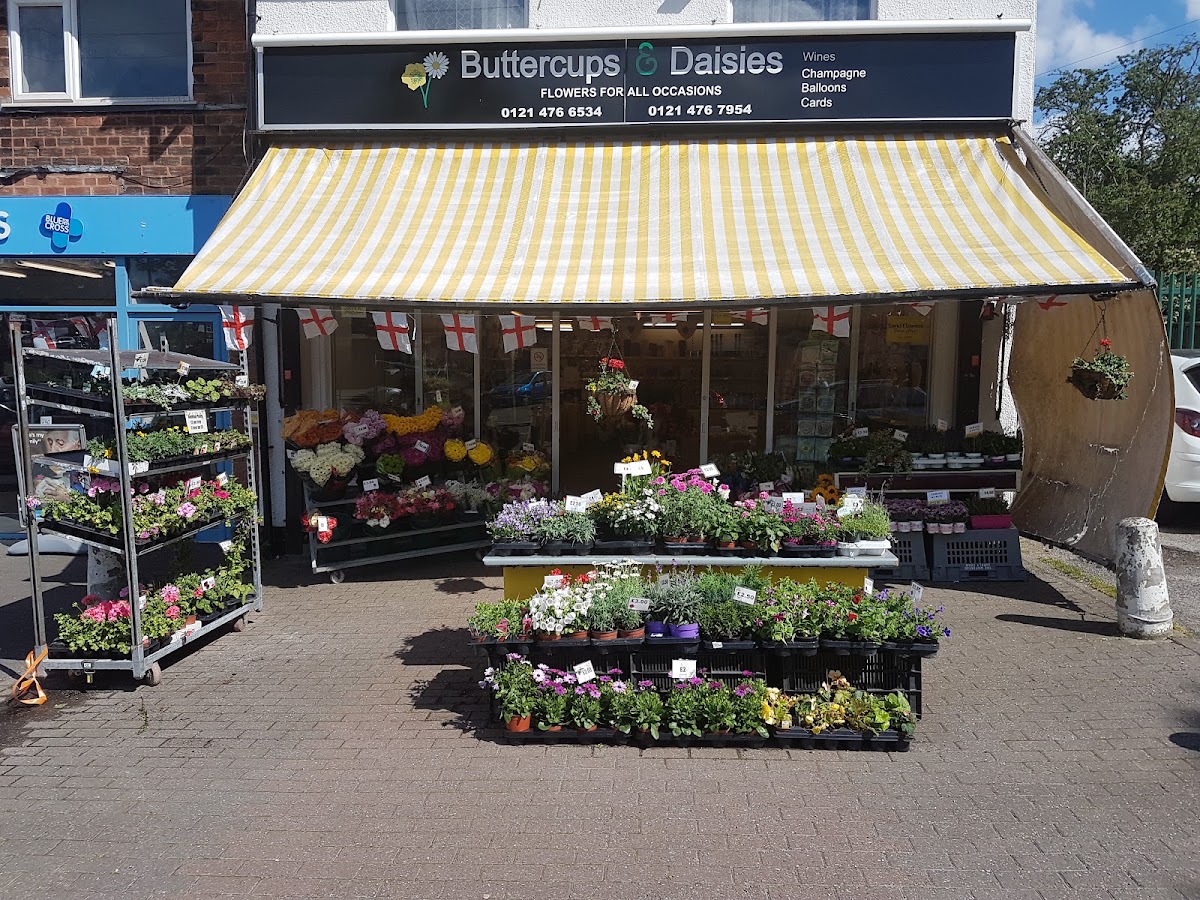 Buttercups & Daisies Florist Birmingham — Florist