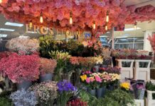 Eros Flowers