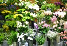 Flower Centre Birmingham