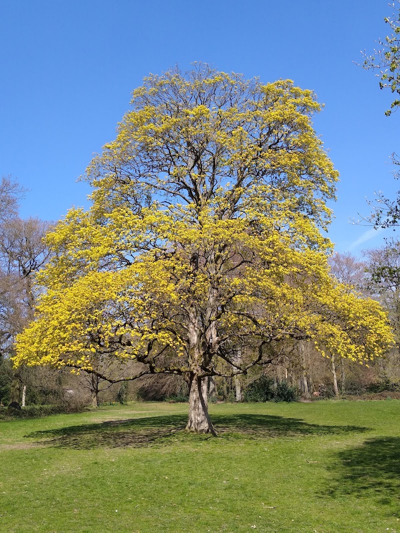 Highbury Park