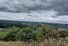 Lickey Hills Country Park