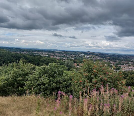 Lickey Hills Country Park