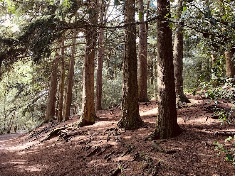 Lickey Hills Country Park