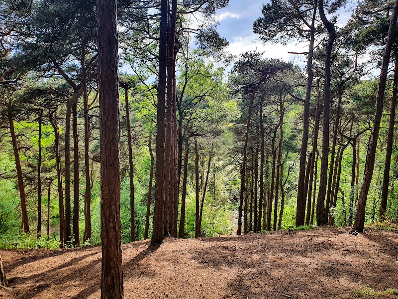 Lickey Hills Country Park