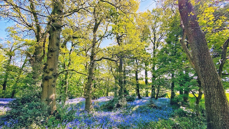 Lickey Hills Country Park