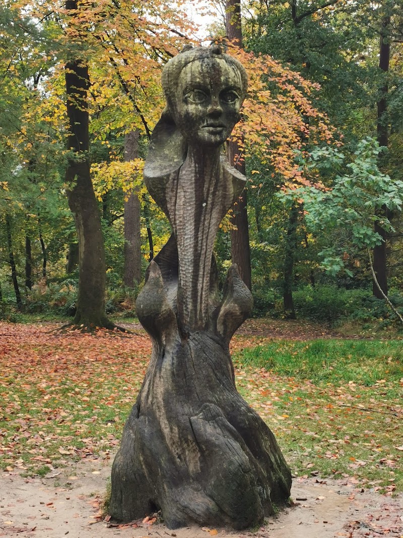 Lickey Hills Country Park