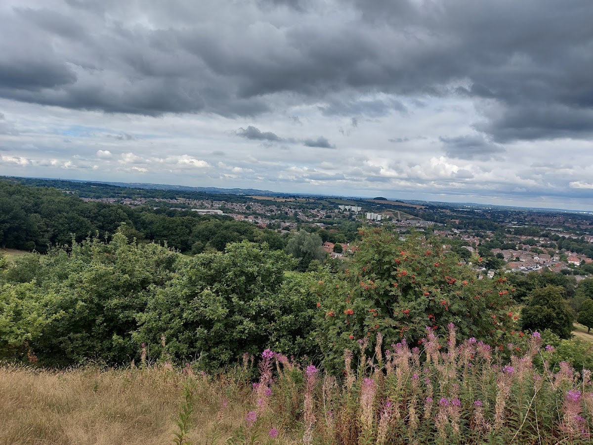 Lickey Hills Country Park — Park