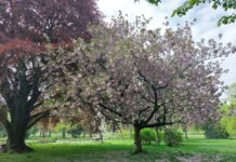 Perry Hall Park