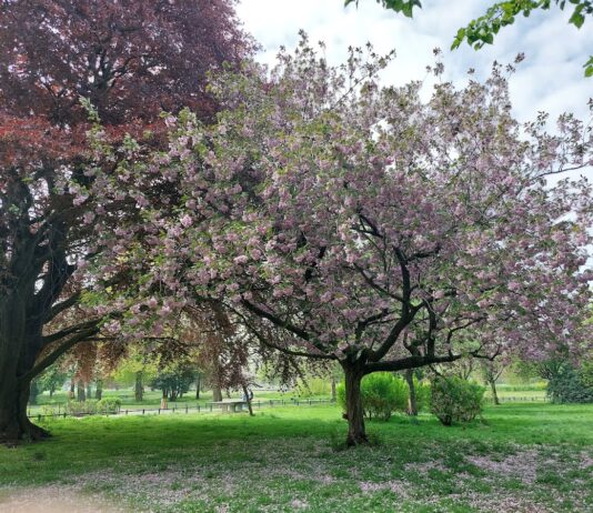 Perry Hall Park