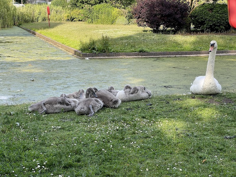 Perry Hall Park