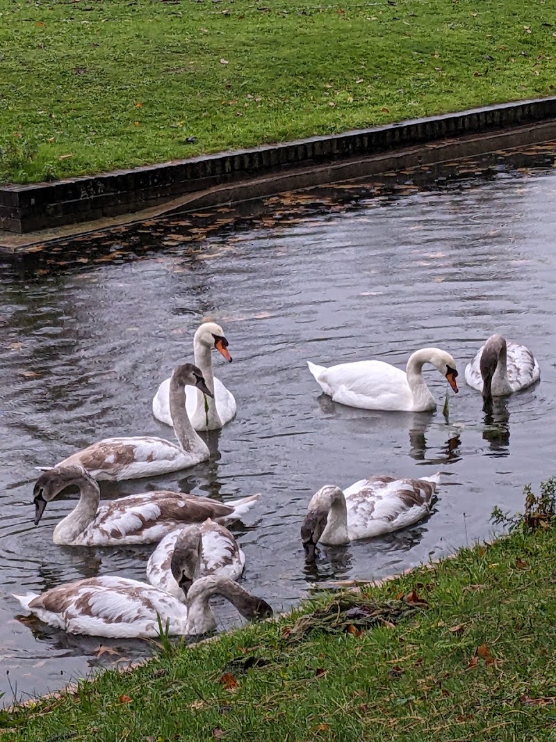 Perry Hall Park