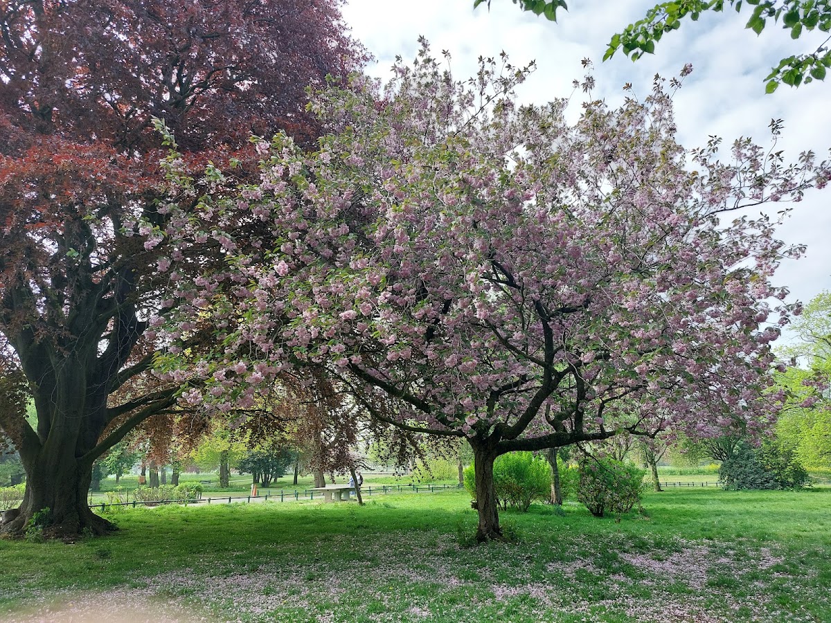 Perry Hall Park — Park