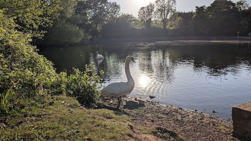 Pype Hayes Park