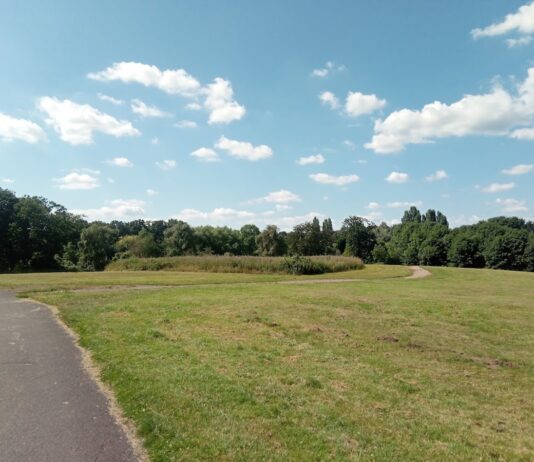 Pype Hayes Park