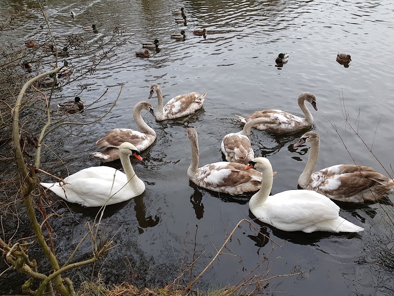 Sandwell Valley Country Park