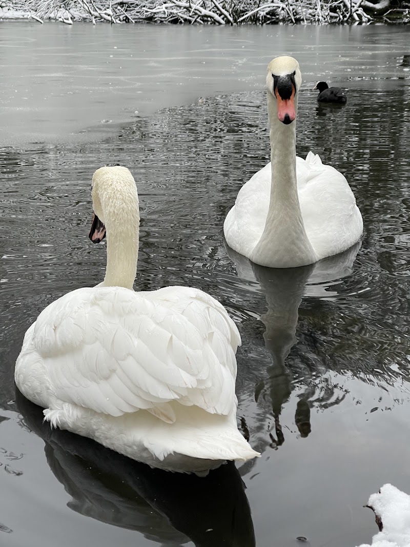 Sandwell Valley Country Park