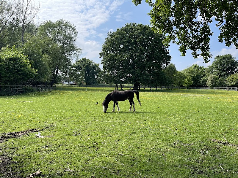 Sheldon Country Park