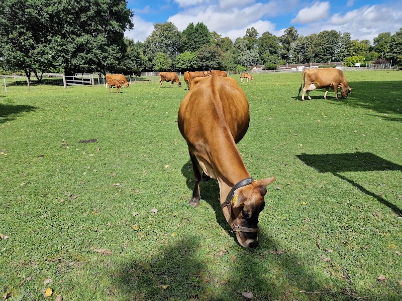 Sheldon Country Park