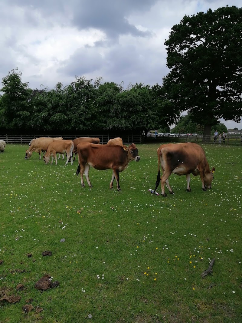 Sheldon Country Park