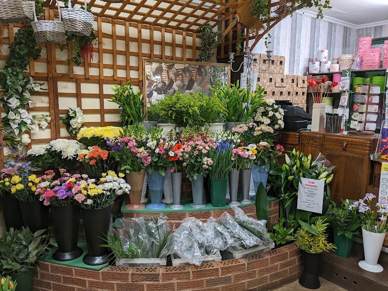 Shellies Flowers