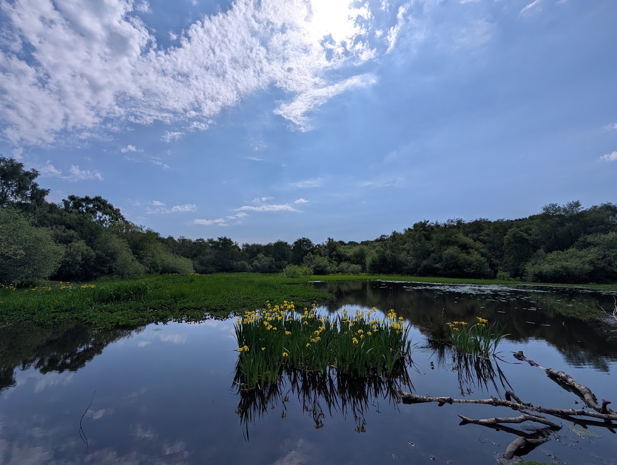 Sutton Park — Park