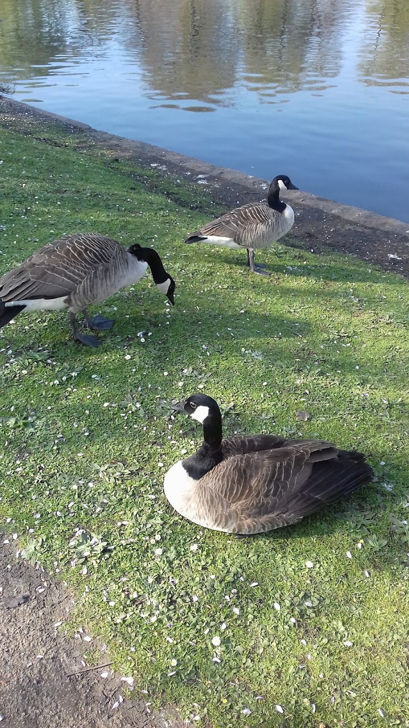 Swanshurst Park