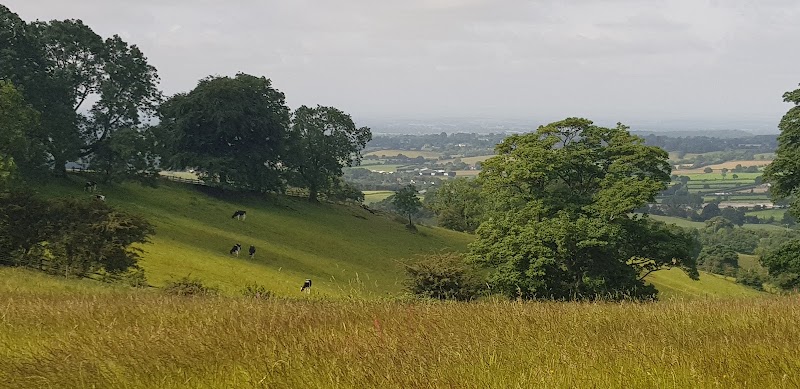 Waseley Hills Country Park