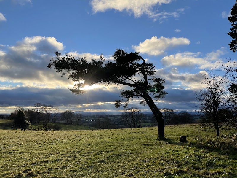 Waseley Hills Country Park