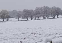 Woodgate Valley Country Park